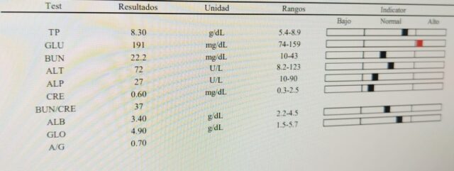 Patient biochemistry showing stress hyperglycemia and A/G ratio of 0.7